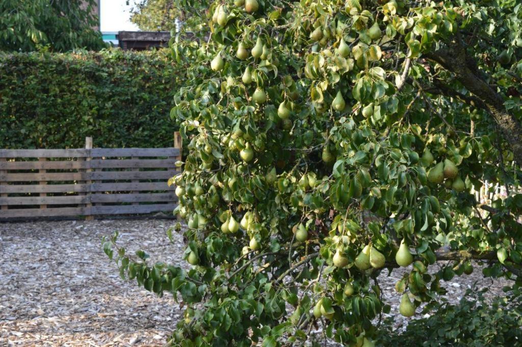 B&B Maas En Heuvel Maastricht Eijsden Ngoại thất bức ảnh
